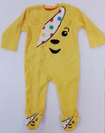 Pudsey Bear .