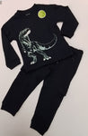 Dino Tracksuit