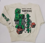 Minecraft Sweatshirt