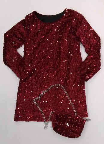Glitter Dress with Bag.